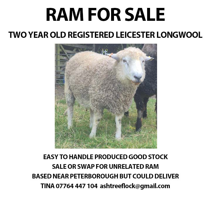Marketplace advert