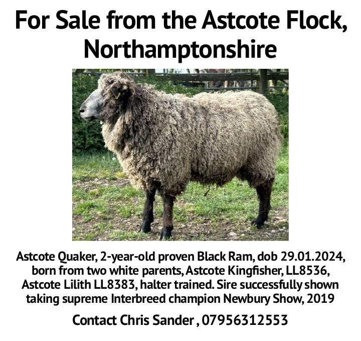 Marketplace advert