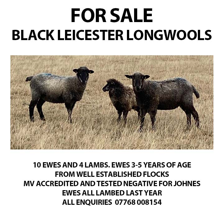 Marketplace advert