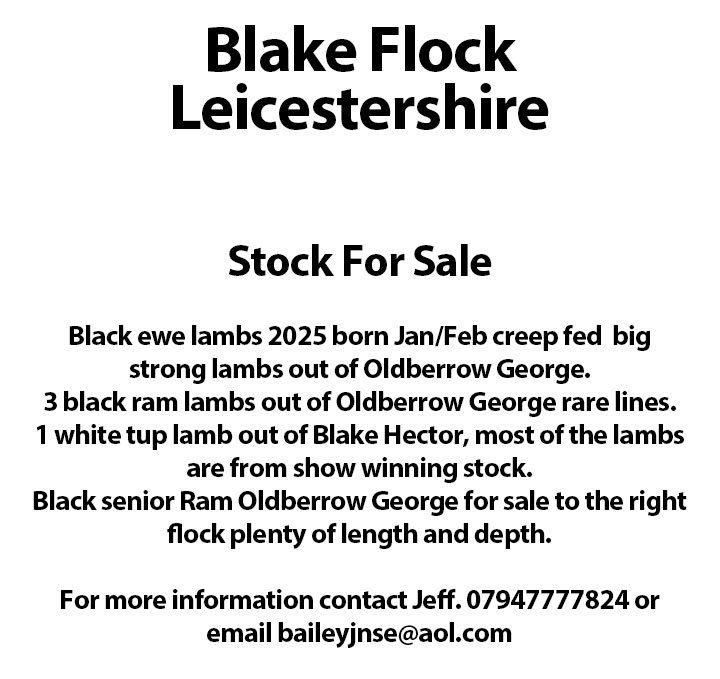 Marketplace advert