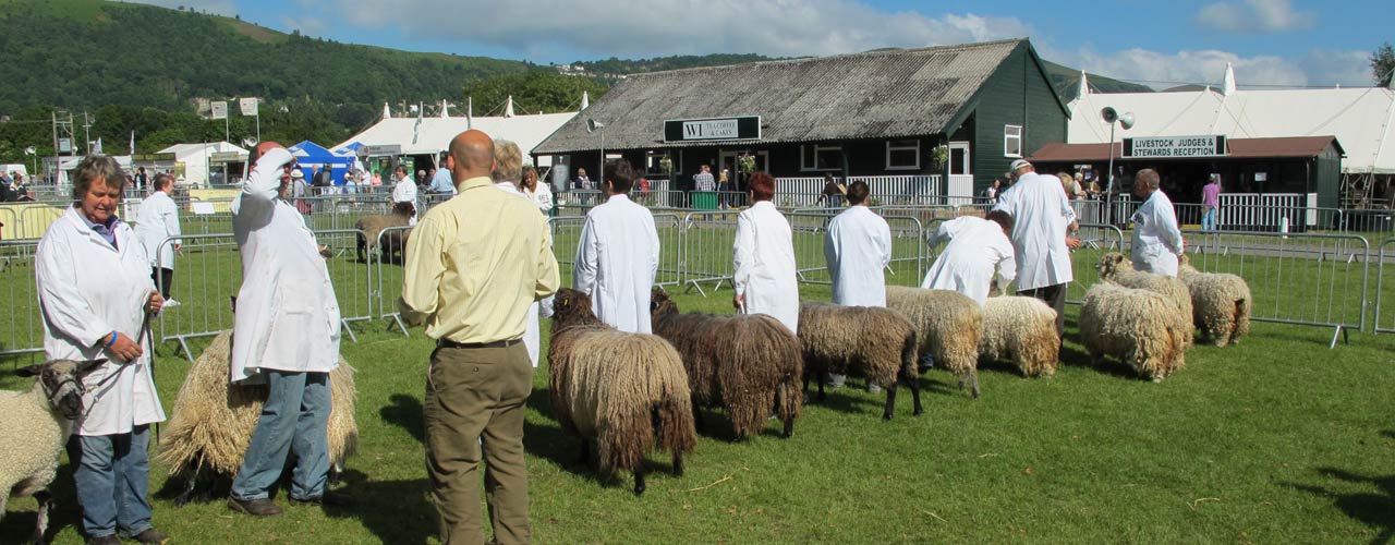 Leicester Longwool Sheep Breeders Association Events