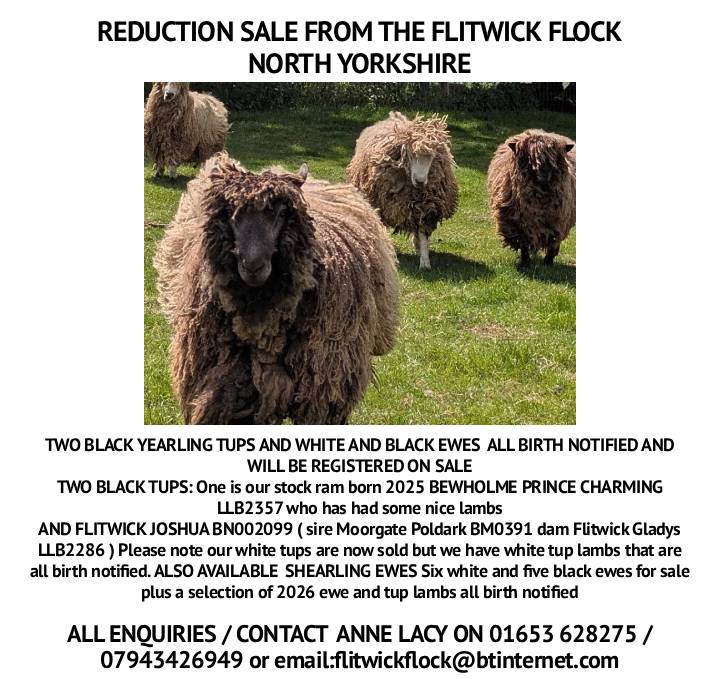 Marketplace advert