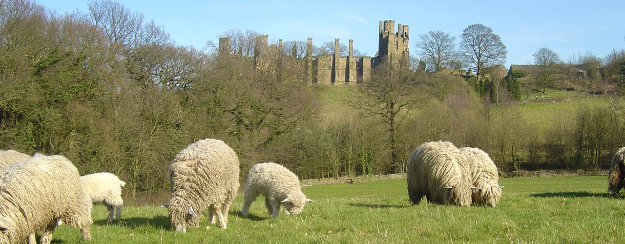 Leicester Longwool Sheep Breeders Association