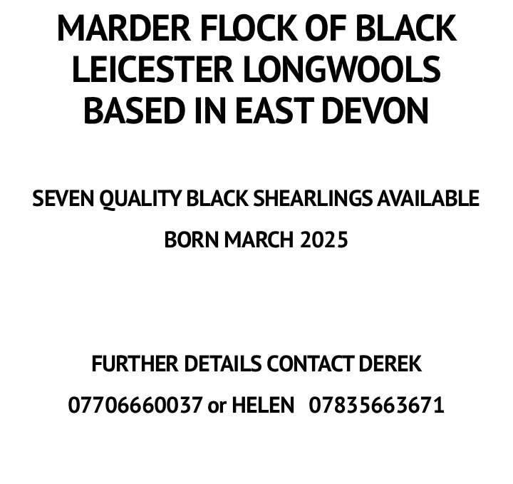 Marketplace advert