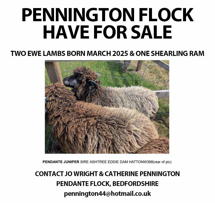 Marketplace advert