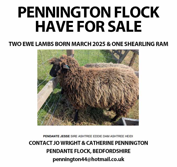 Marketplace advert