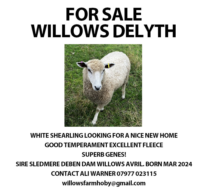 Marketplace advert